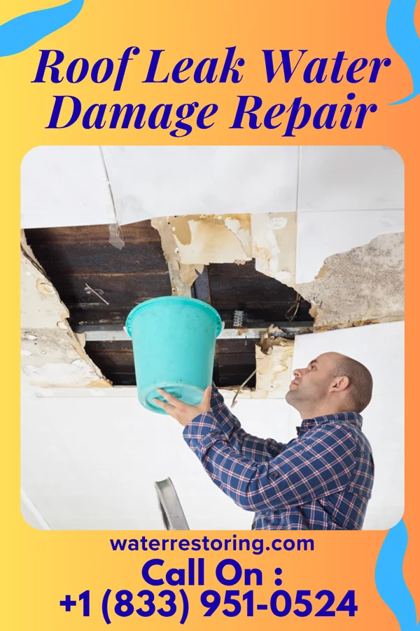Roof Leak Water Damage Repair in Peru, NE